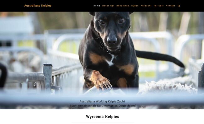 Erstellung einer Webseite für Australiana Kelpies